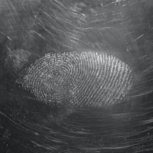Investigation & Forensics